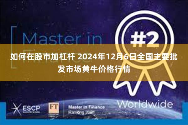 如何在股市加杠杆 2024年12月6日全国主要批发市场黄牛价格行情