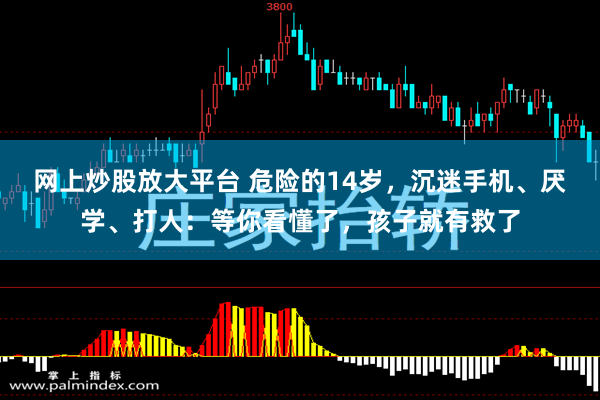 网上炒股放大平台 危险的14岁，沉迷手机、厌学、打人：等你看懂了，孩子就有救了