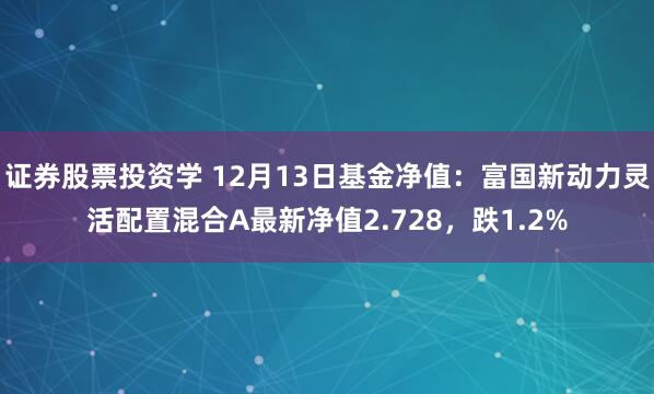 证券股票投资学 12月13日基金净值：富国新动力灵活配置混合A最新净值2.728，跌1.2%