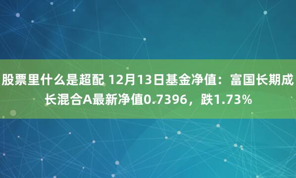 股票里什么是超配 12月13日基金净值：富国长期成长混合A最新净值0.7396，跌1.73%