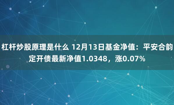 杠杆炒股原理是什么 12月13日基金净值：平安合韵定开债最新净值1.0348，涨0.07%