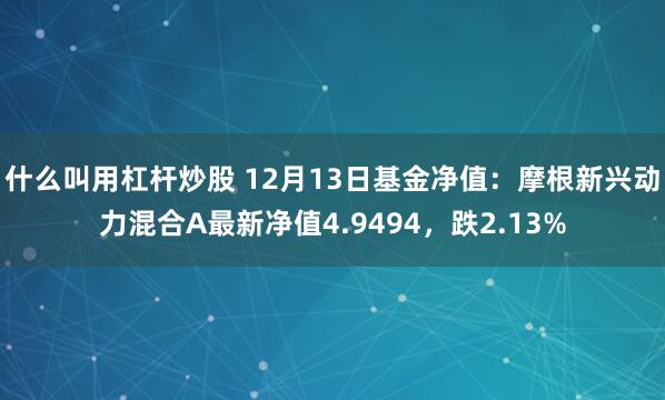 什么叫用杠杆炒股 12月13日基金净值：摩根新兴动力混合A最新净值4.9494，跌2.13%