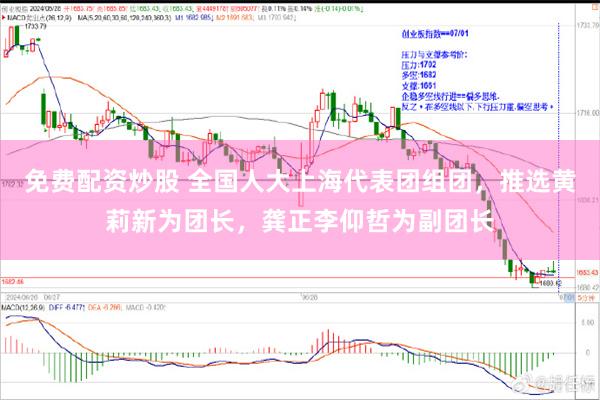 免费配资炒股 全国人大上海代表团组团，推选黄莉新为团长，龚正李仰哲为副团长