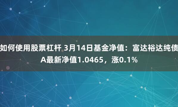 如何使用股票杠杆 3月14日基金净值：富达裕达纯债A最新净值1.0465，涨0.1%